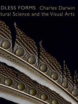 Cover, Endless Forms: Charles Darwin, Natural Science, and the Visual Arts