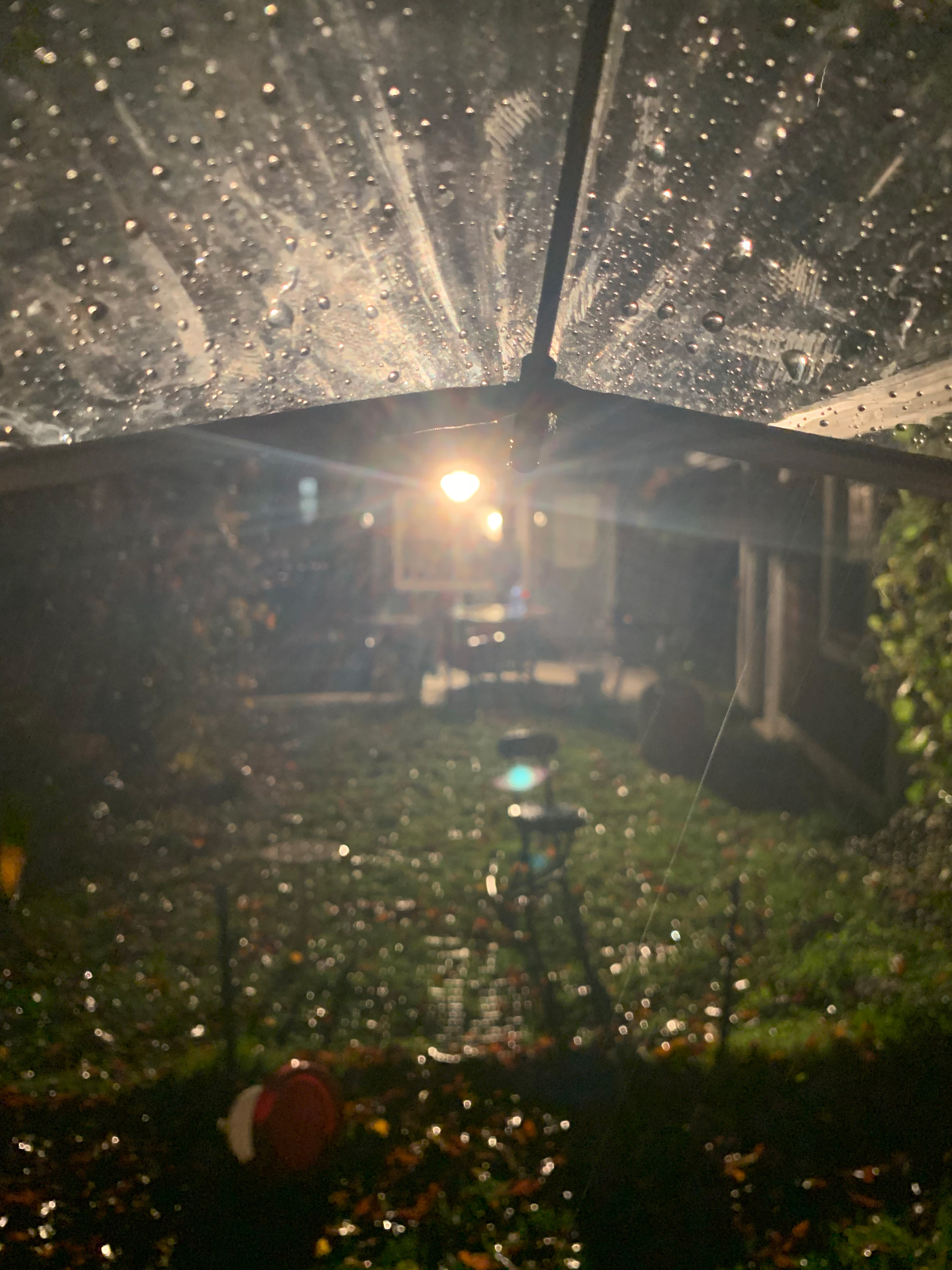 Photo of rain droplets on the edge of an umbrella at night