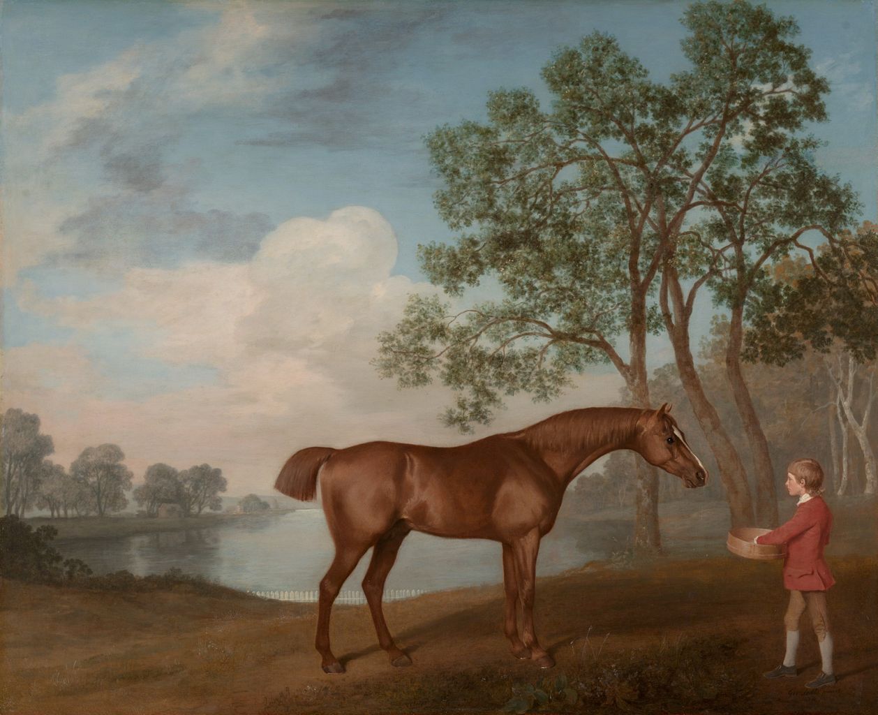 horse with a young boy