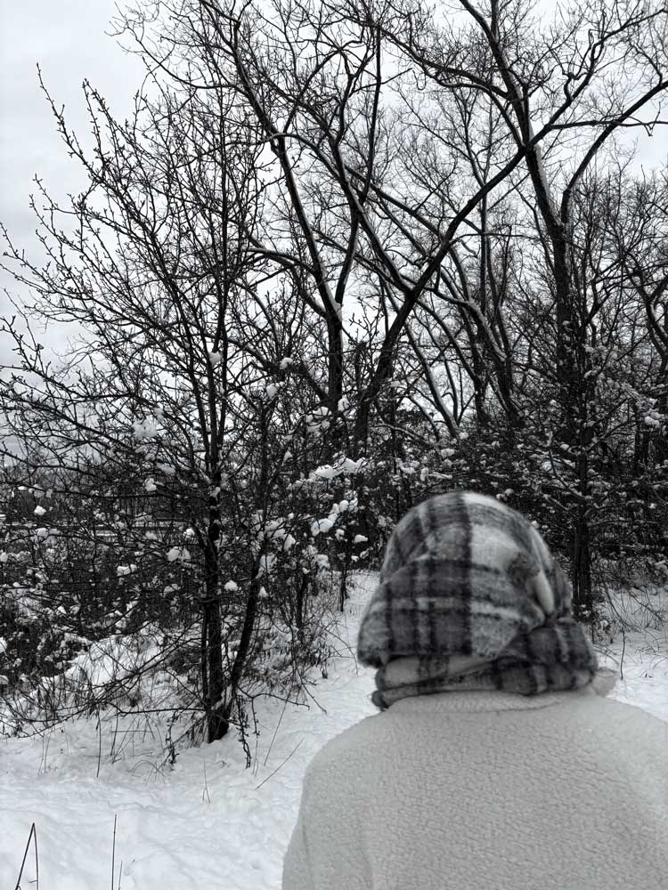 photo of a snowy landscape with a person in the foreground