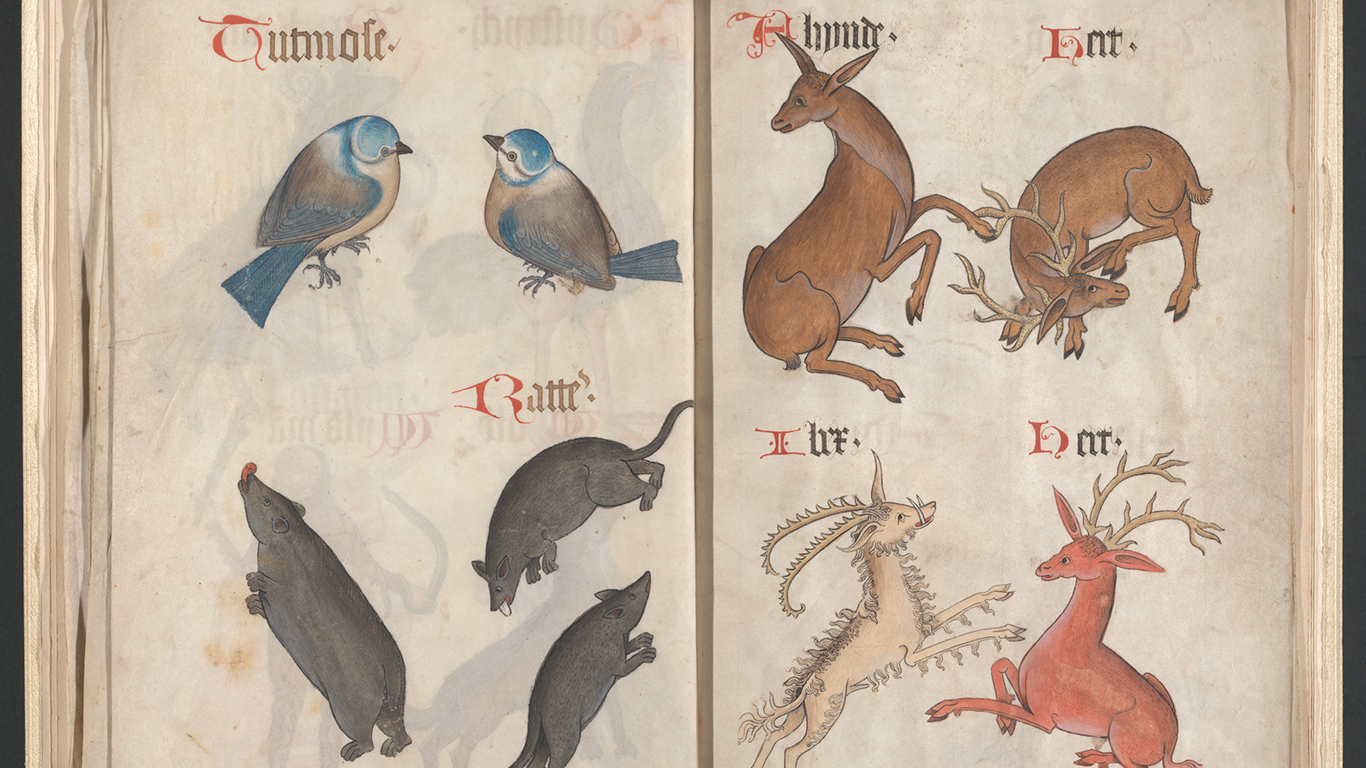 Helmingham herbal and bestiary (detail), circa 1500, folios 16v-17r, Yale Center for British Art, Paul Mellon Collection