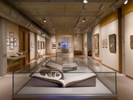 "'Endless forms': Charles Darwin, Natural Science, and the Visual Arts" installation, Yale Center for British Art, photo by Richard Caspole