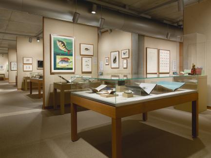 “Of Green Leaf, Bird, and Flower”: Artists’ Books and the Natural World installation, Yale Center for British Art, photo by Richard Caspole