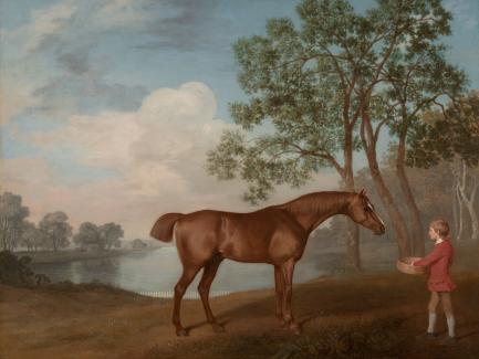George Stubbs, "Pumpkin with a Stable-lad" (detail), 1774, oil on panel, Yale Center for British Art, Paul Mellon Collection